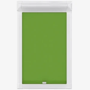 EASY123 Perfect Fit Roller — Apple Green