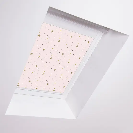 Roof-Blind1